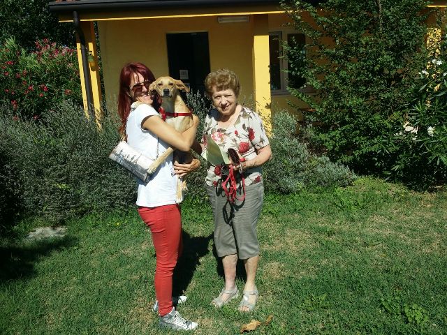 Pollon con la sua nuova famiglia